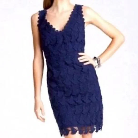 Lilly pulitzer reeve dress new arrivals